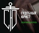 Судебный юрист
