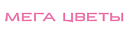 Мегацвет24 ООО