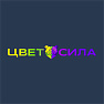 Цветосила - cтудия сублимационной печати