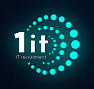 1ИТ